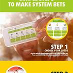 how does system bet work